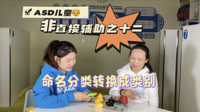 嗨星课堂:自闭症儿童非直接辅助之十二,命名时从类别转换成分类