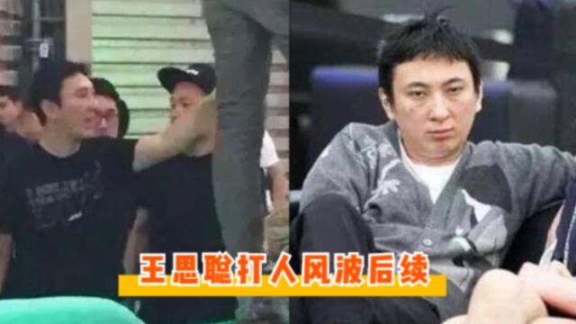 王思聪打人风波后续:花209万与被打者达成和解,网友纷纷求打