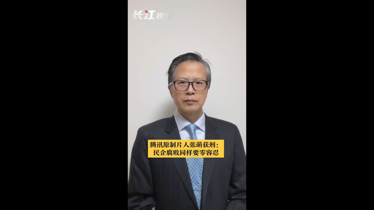 长江评论说热点 | 张萌获刑:关注民企腐败,不排除老板监守自盗