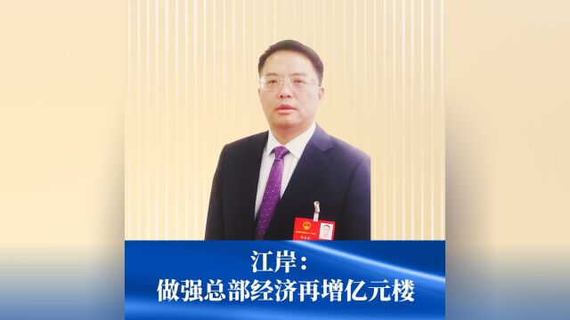 江岸:做强总部经济再增亿元楼