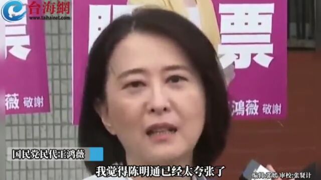 陈明通喊林智坚是冤案 王鸿薇:根本是学术界败类