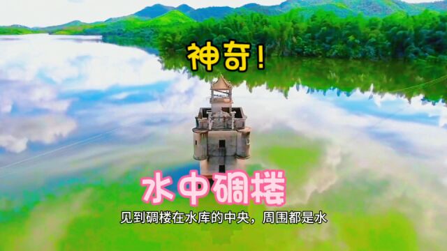 广东台山“小众”景点,有座“神奇”的碉楼,屹立水中央,惊艳!