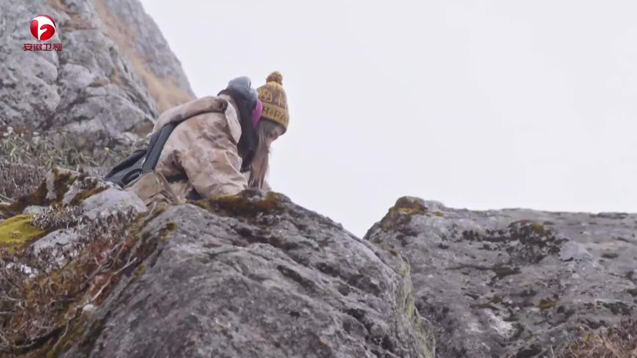 领略藏地之美,刘语熙体验极限高原,高原反应太难受了|家宴