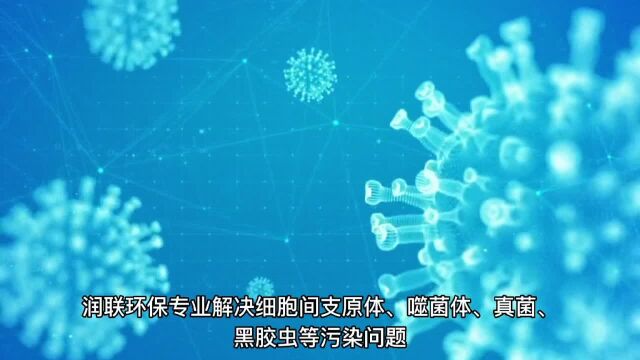 润联环保实验室、细胞房消毒服务方案