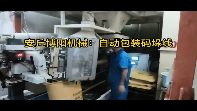 鸡饲料自动包装码垛生产线 自动包装码垛设备应用 