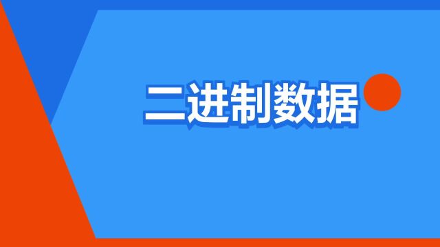 “二进制数据”是什么意思?