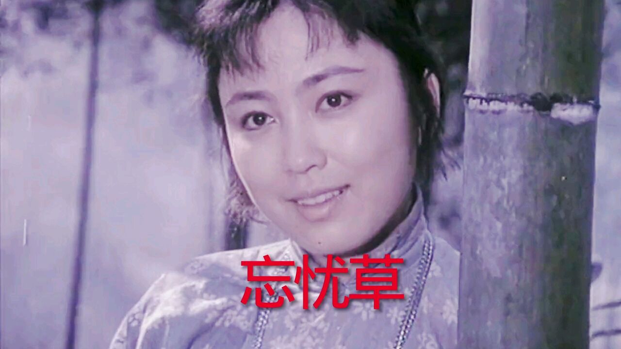 电影《忘忧草》周丽娜主演,马太萱原唱主题曲《妹送阿哥上北山》