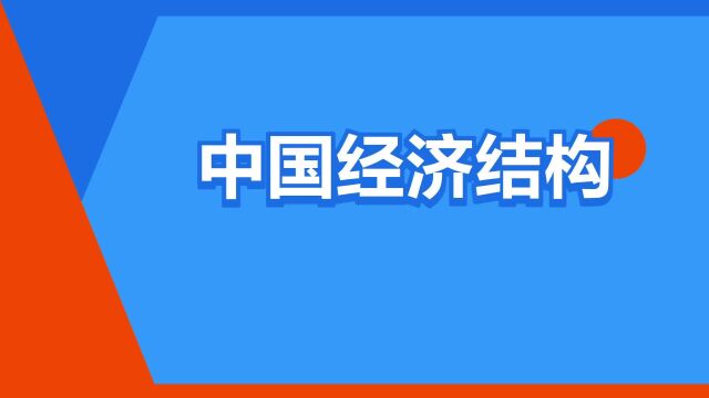 “中国经济结构”是什么意思?