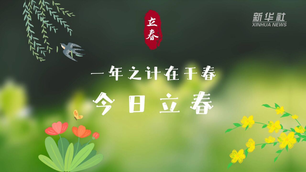 原创动画|一年之计在于春,今日立春!