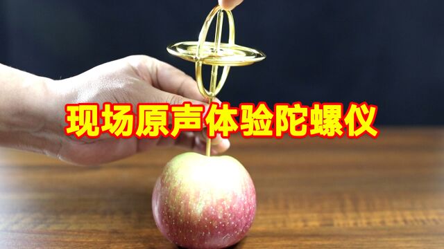 现场原声体验金属陀螺仪的魅力,很解压!