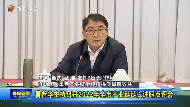 九大重点产业链将是今后支撑岳阳构建现代产业体系的“四梁八柱”