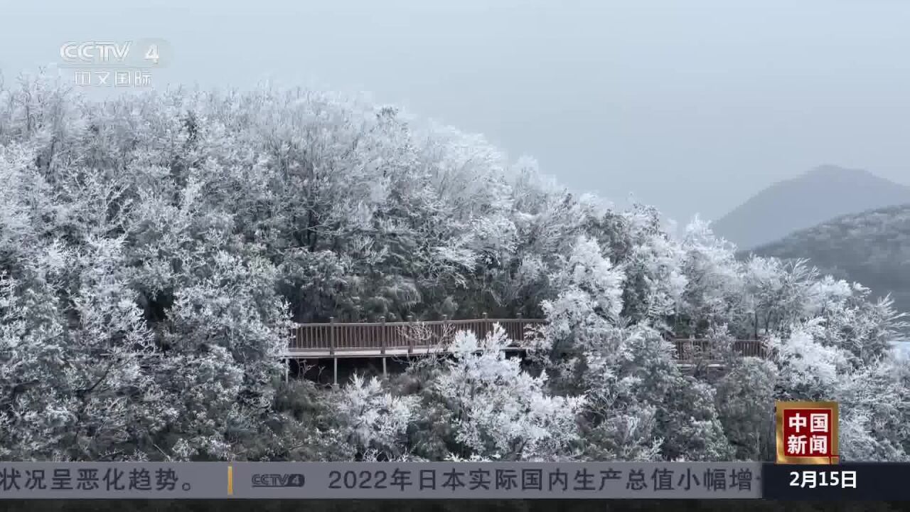 雪后初霁 中国多地雾凇云海美不胜收