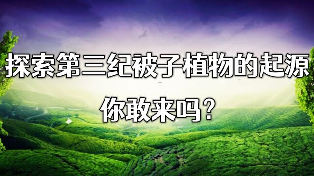 探索第三纪被子植物的起源,你敢来吗?