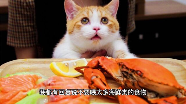 猫咪有哪些食物不能吃的?