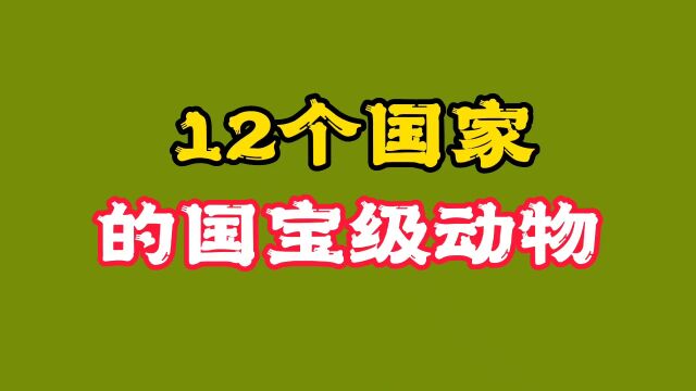 12个国家的“国宝级动物”都知道吗!你觉得谁最独一无二?