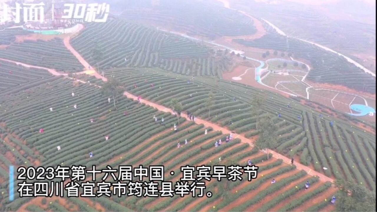 突出“早优双绝” 第十六届中国ⷮŠ宜宾早茶节在四川宜宾举行