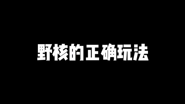 野核的正确玩法