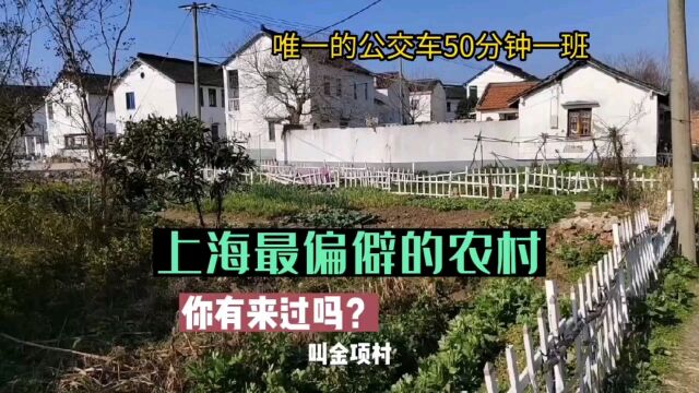 中国第一大城市,上海的农村你了见过过吗?带大家一起去看看