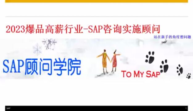 2023年爆品高薪职业SAP咨询实施顾问#sap培训