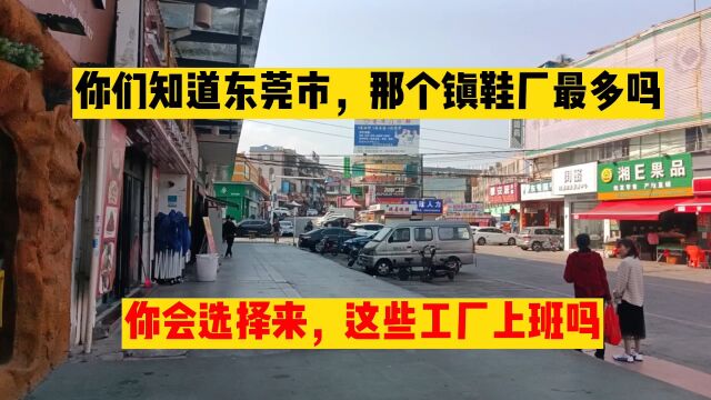 各位打工人,你知道东莞市,那个镇鞋厂最多吗?华哥告诉你答案