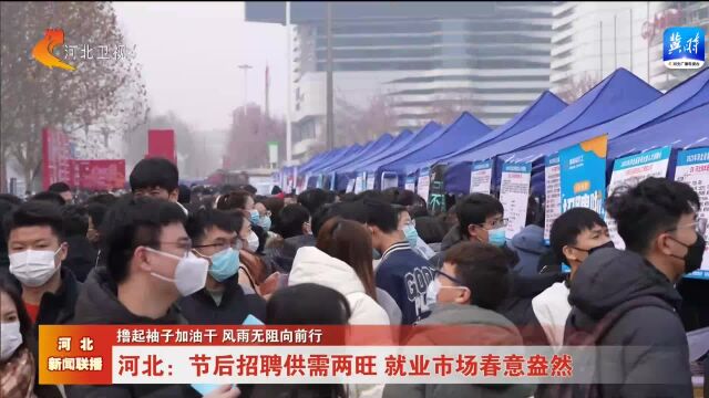 河北:节后招聘供需两旺 就业市场春意盎然