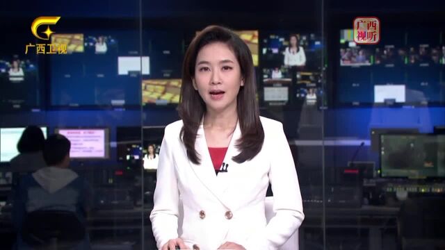 中国东盟商务与投资峰会秘书处与香港嘉华金融投资集团在南宁签署合作备忘录