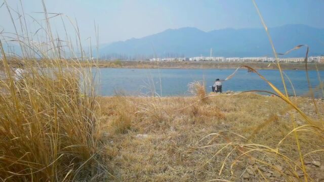 宁波水质最佳的溪流,溪畔梅花村,垂钓风景里