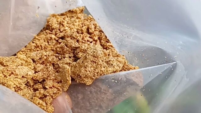 纯天然是原始蜂胶什么样子?蜂胶怎么食用效果最佳蜂胶的服用方法 蜂胶 #蜂王浆 #蜂蜜 蜂皇浆蜂巢蜜蜂花粉关注小牛蜂蜜带你了解蜂知识蜂胶的作用与功效...