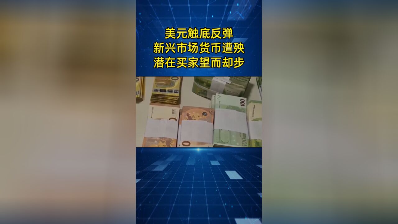 美元指数触底反弹,新兴市场货币“遭殃”了,潜在买家望而却步