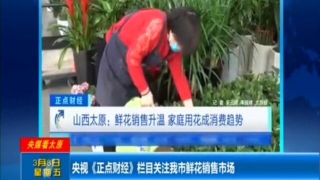 央视《正点财经》栏目关注太原市鲜花销售市场