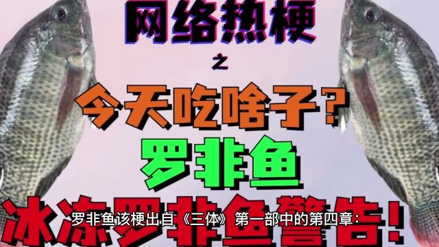 《三体》小说中,冰冻罗非鱼警告是怎么回事?