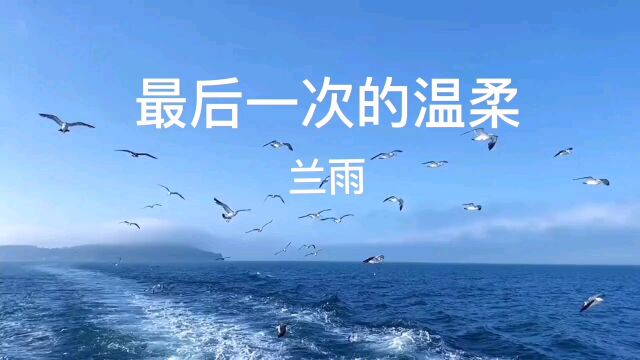 美丽的海景