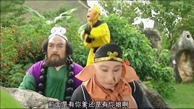 原来西游记中真正的主角是八戒,就没有八戒不敢说的话