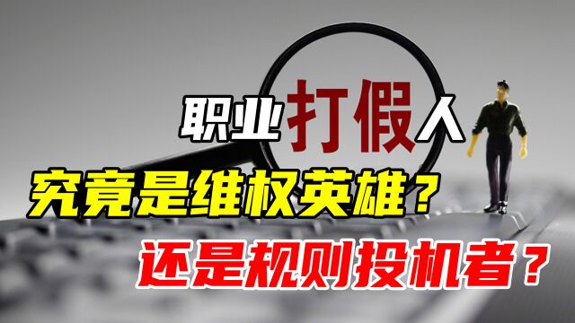 职业打假人,究竟是维权英雄,还是规则投机者?