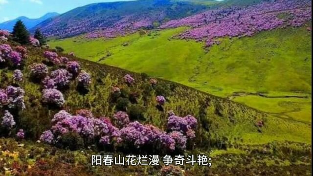 螺壳山:四季各有特色