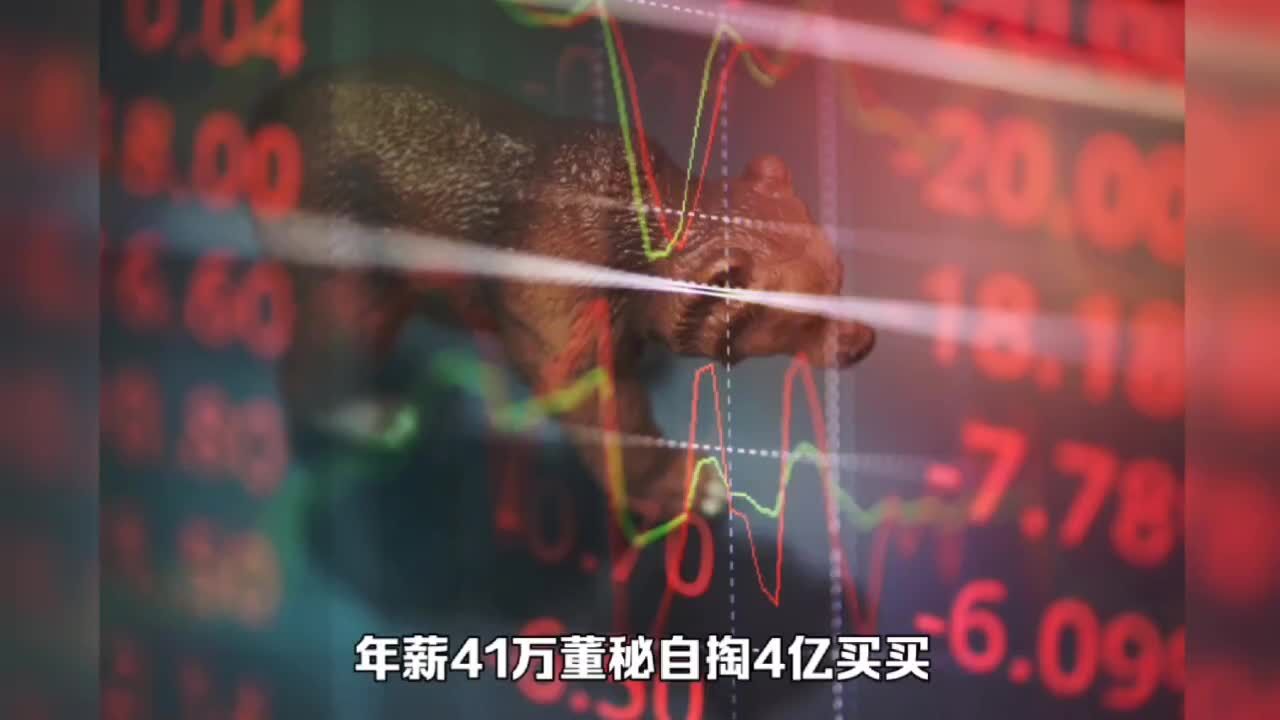 年薪41万董秘自掏4亿买公司股份?