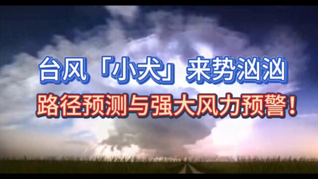 台风「小犬」来势汹汹:路径预测与强大风力预警!