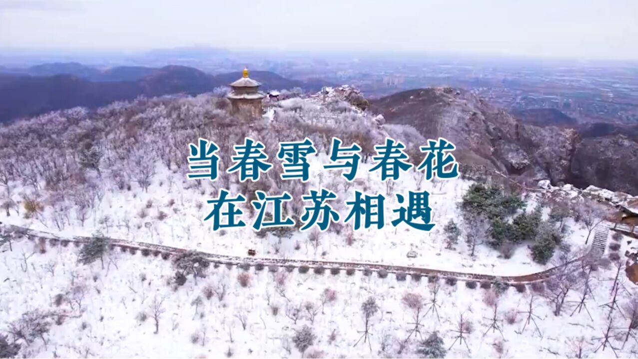 当春雪与春花在江苏相遇