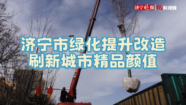 济宁市绿化提升改造 刷新城市精品颜值