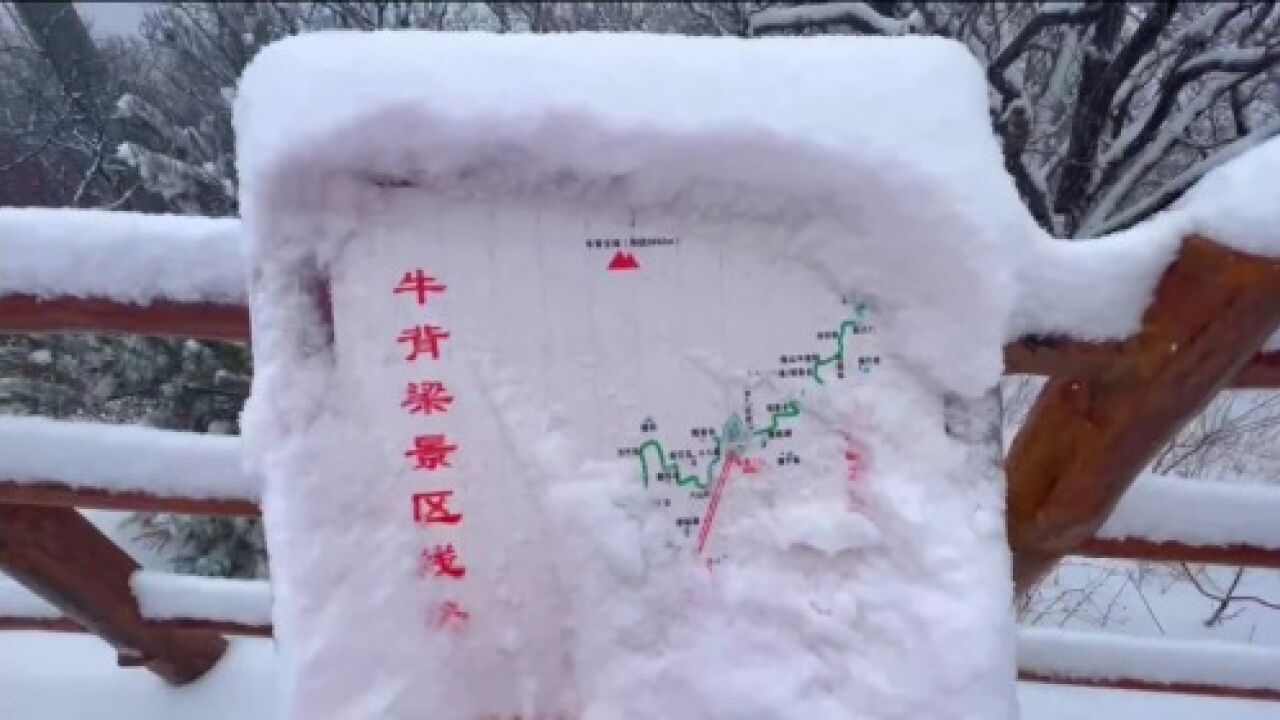 春雪飘落商洛,网友:一夜回到冬