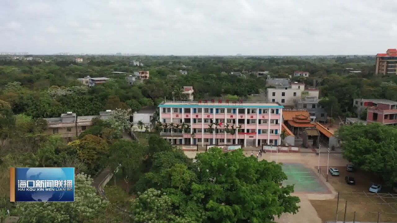 【清廉建设进行时】海口龙华区:“一镇一品”“一街一景” 让廉洁之风吹拂全域