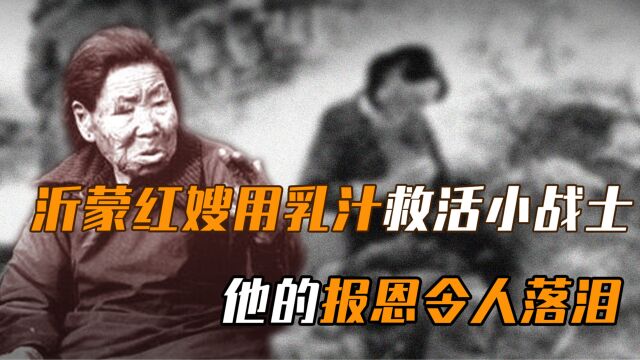 沂蒙红嫂用乳汁救活小战士,多年后他成为干部:妈,我来接您了