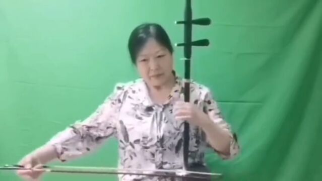 二胡独奏《女儿情》演奏:王增文