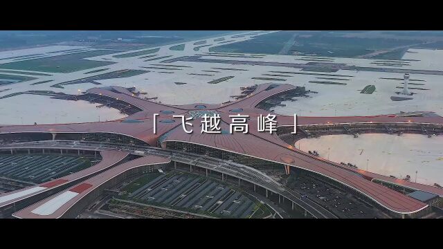 中国南方航空招聘!信息/航卫/营销/职能/航务类岗位