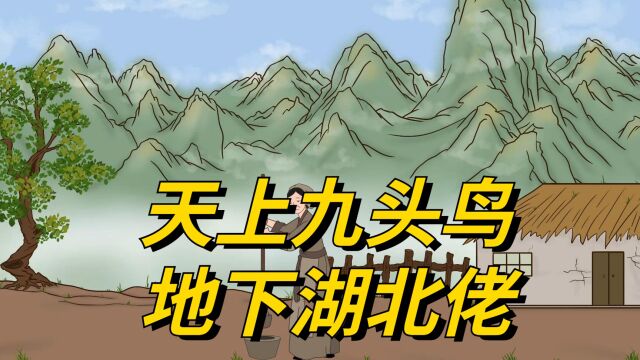 “天上九头鸟,地下湖北佬”,湖北人,为何被称为九头鸟?