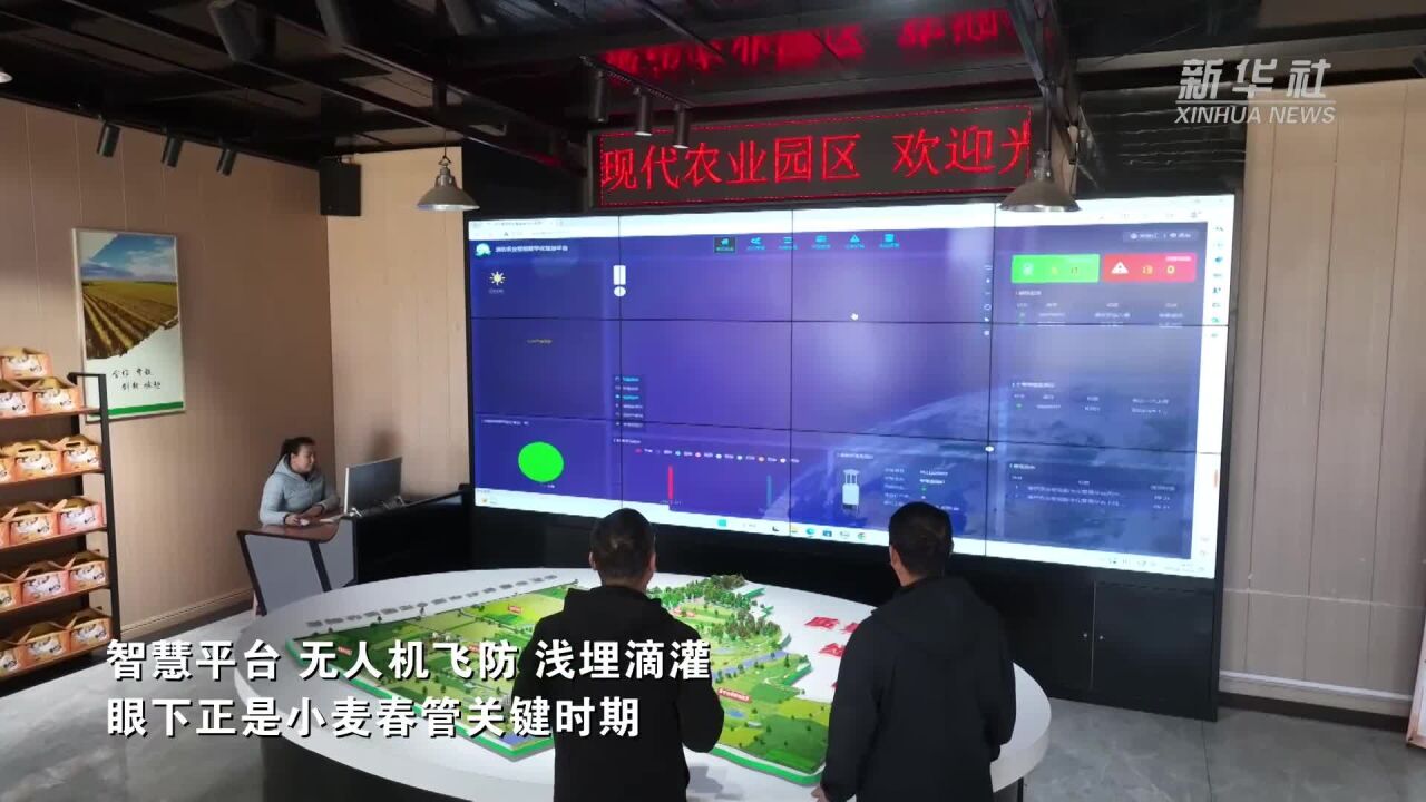 河北沧州:智能设备显身手 智慧农业促增收
