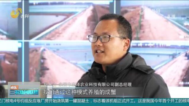 东营垦利区发展特色高效农业 打造乡村产业振兴“升级版”