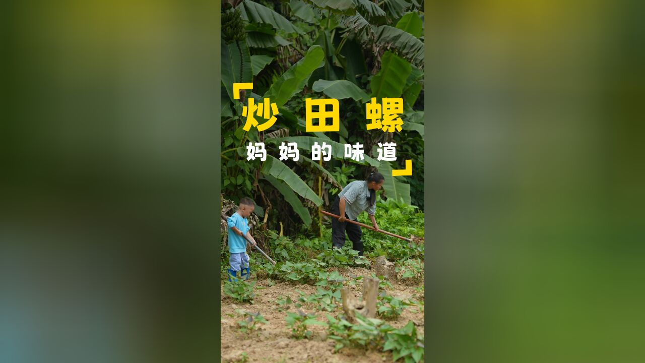 给红薯地起一下高垄,这样红薯就会长得更大,晚上做一道炒田螺