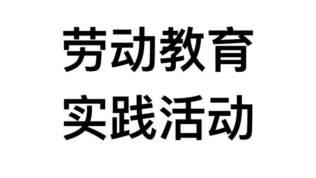 劳动教育实践活动