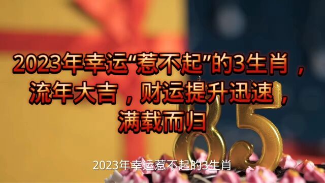 2023年幸运“惹不起”的3生肖,流年大吉,财运提升迅速,满载而归